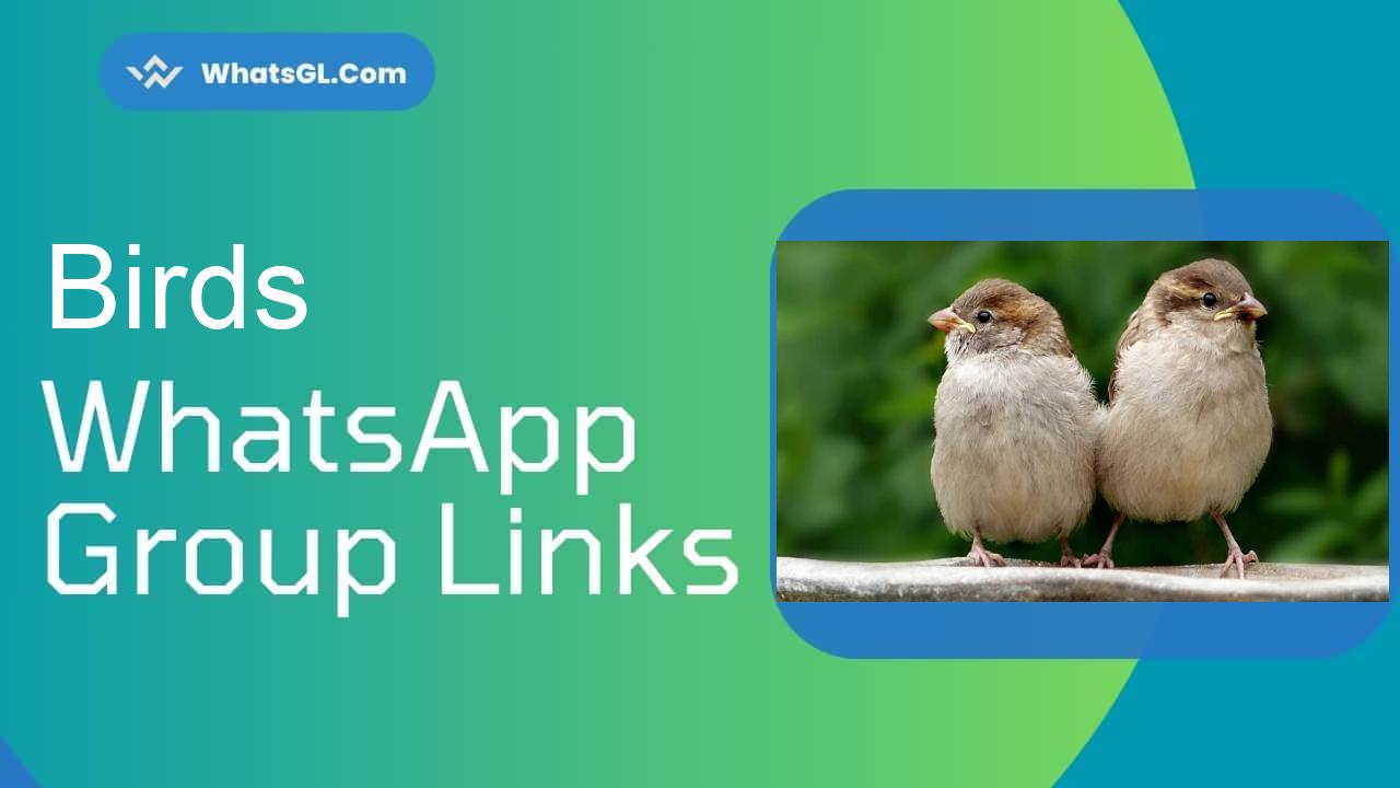 Birds Whatsapp Group Links WhatsApp Group