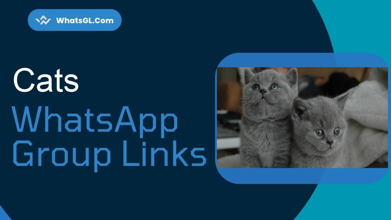 Cats Whatsapp Group Links WhatsApp Group