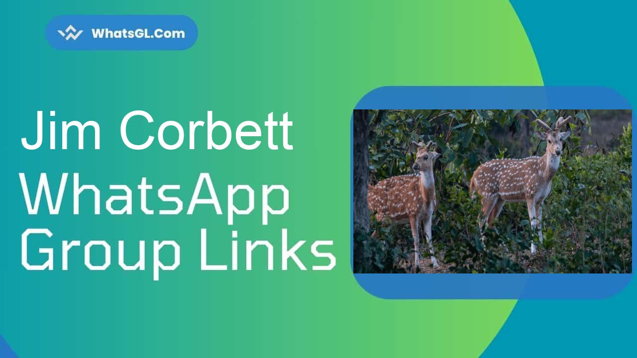 Jim Corbett WhatsApp Group Links